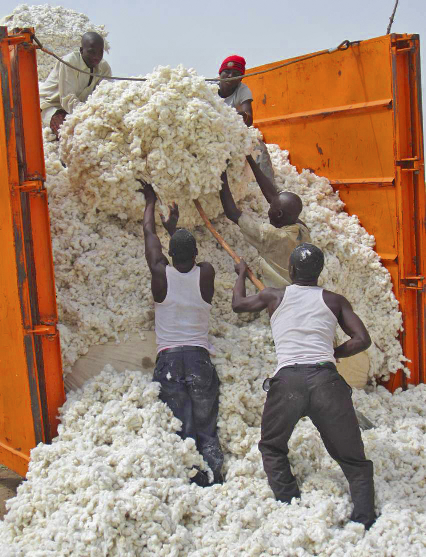 The Trial That Never Happened: Burkina Faso vs. Monsanto