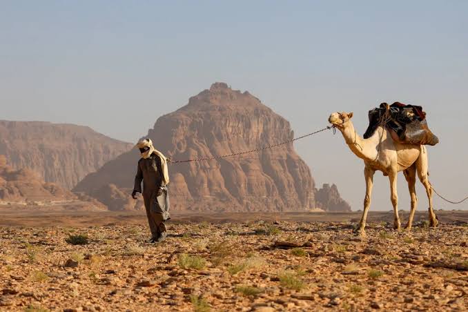 How the Sahara’s Camel Caravans Lost to a Steamship