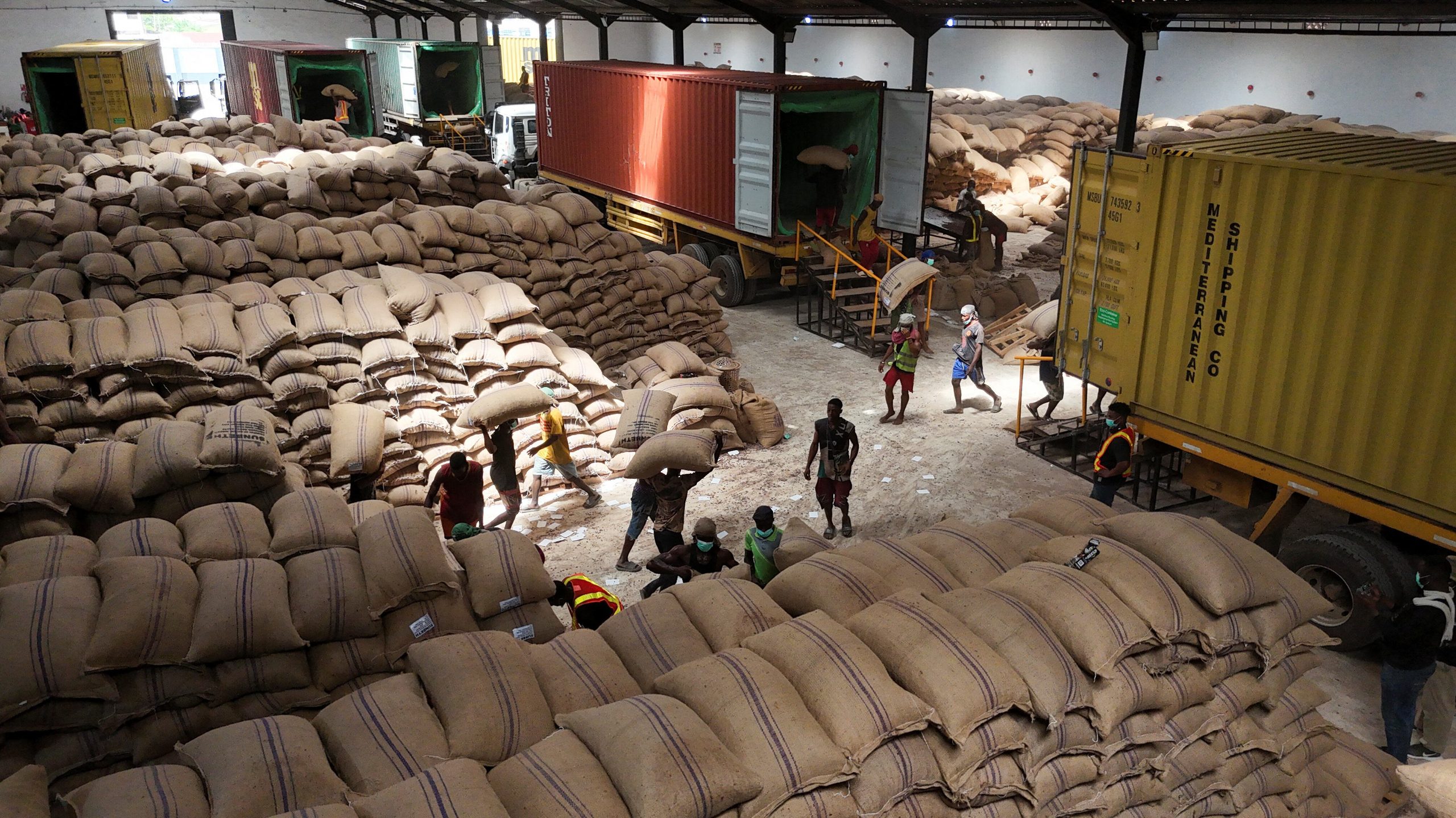 The Innovation Nobody Ordered: Nigeria’s Farmer-Built Cocoa Industry