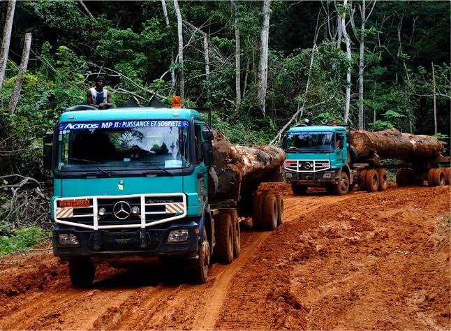 Caterpillar & Control: What “Exclusive Representative” Actually Meant for a Continent Trying to Build Itself