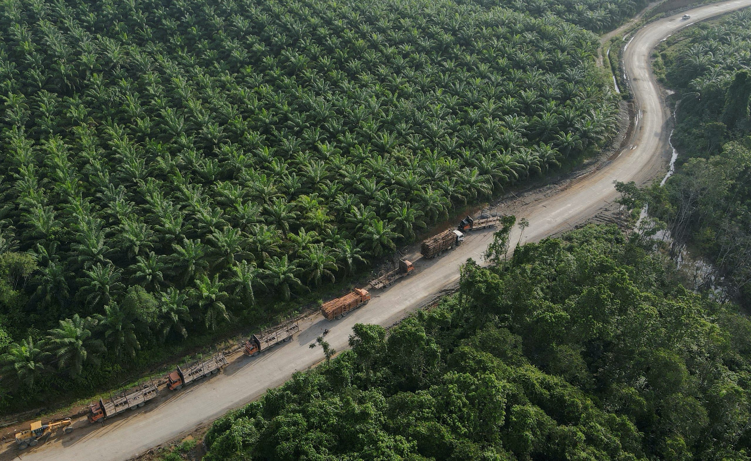 How Optorg, CFAO, and SCOA Divided West Africa’s Wholesale Trade Among Themselves