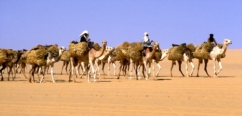 From Peddler to Kingmaker: The Long Arc of Lebanese Trading Power in West Africa